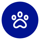 personas-adicionales-mascotas-13
