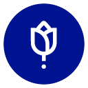 personas-adicionales-mascotas-8